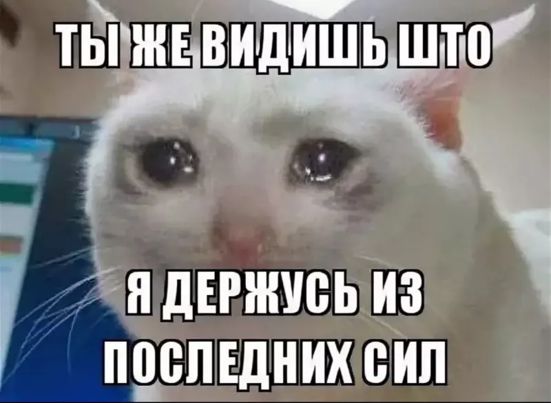 Tapтaлeтки & Ко