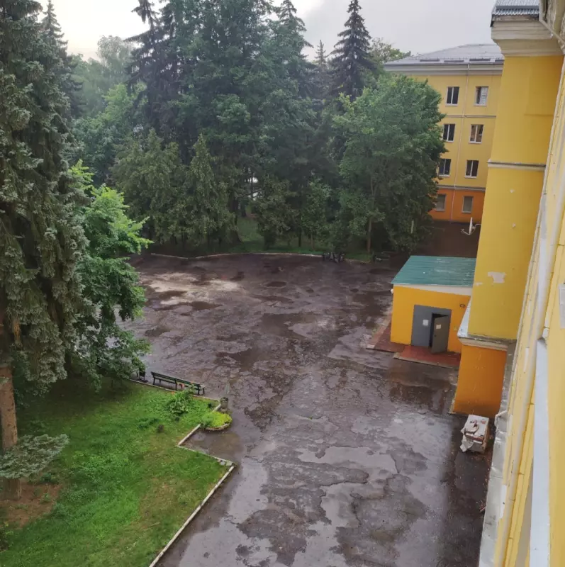 Tapтaлeтки & Ко