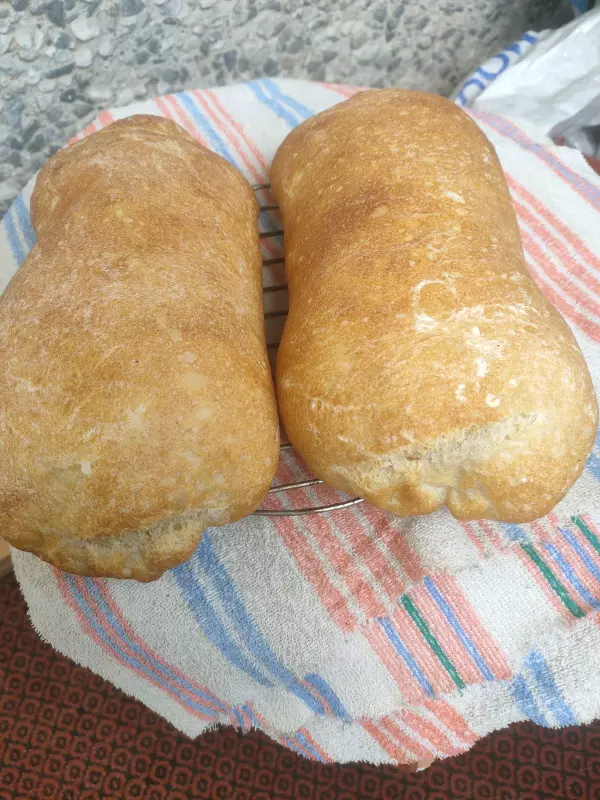Чиабатта Питера Рейнхарта (на пулише)