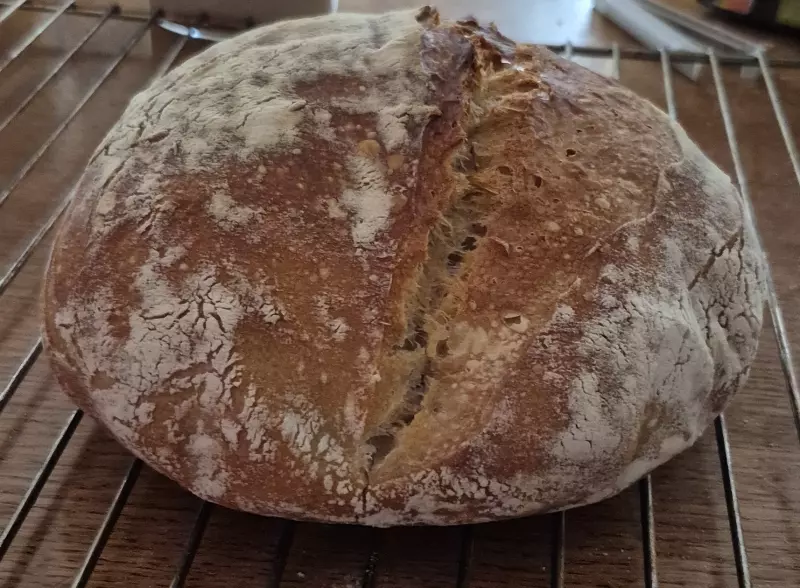 Закваска Levito madre от Gabriele Bonci. Кто со мной?