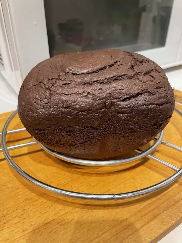 Мини-хлебопечка Panasonic SD PN100