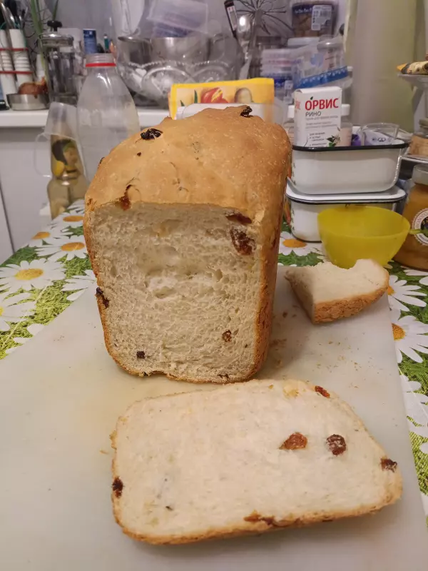 Panasonic SD-2502. Хлеб сливочный с изюмом