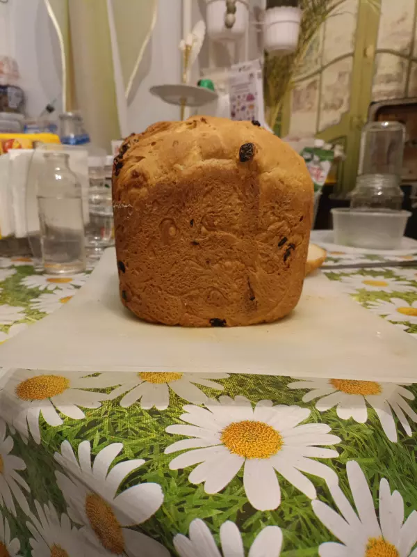 Panasonic SD-2502. Хлеб сливочный с изюмом