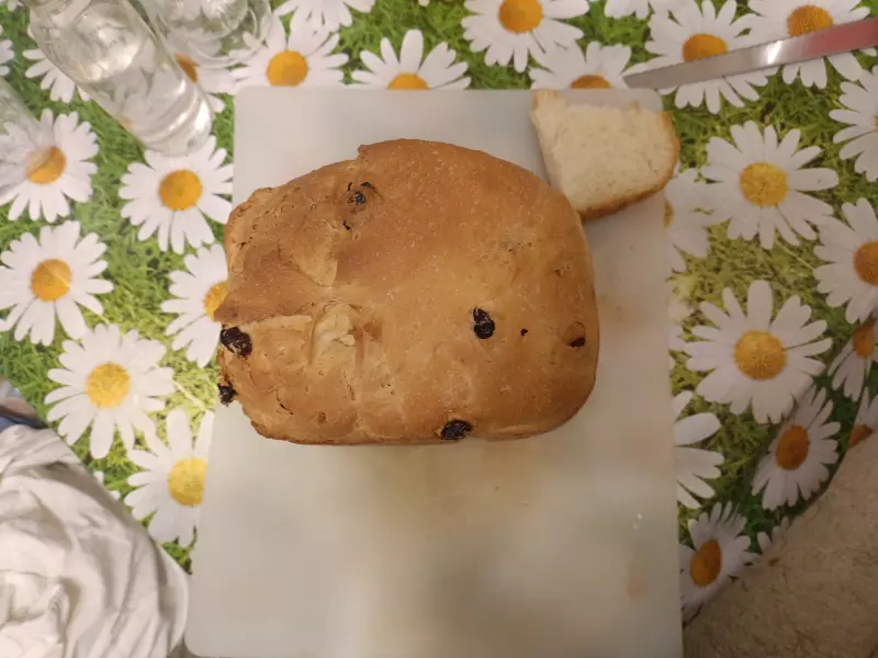 Panasonic SD-2502. Хлеб сливочный с изюмом