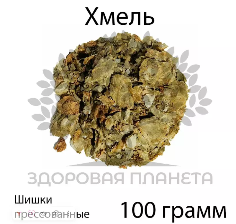 Самая простая хмелевая закваска