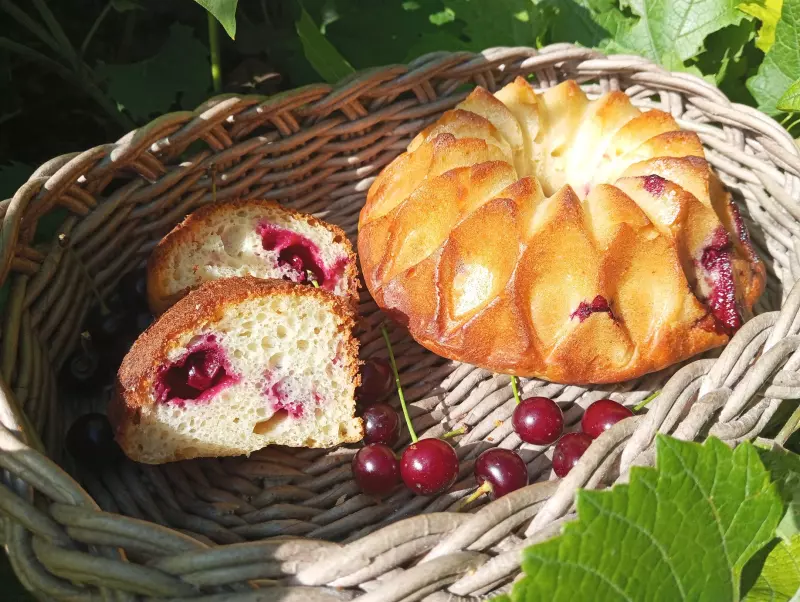 Вишневая бабка