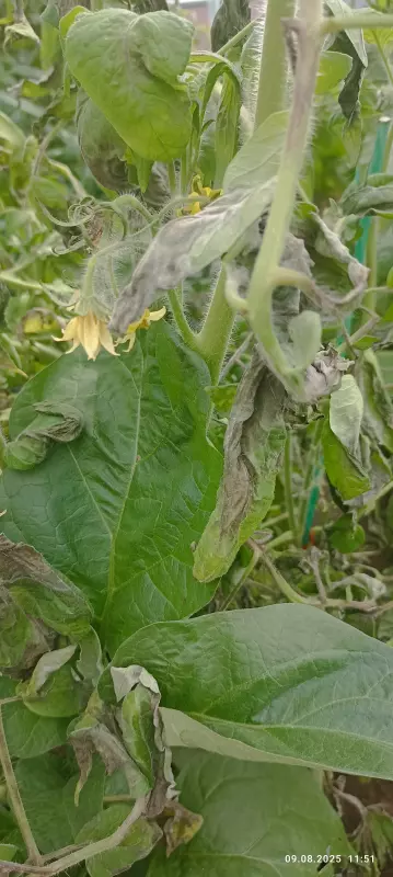 Загородная жизнь - обустройство на земле во всем разнообразии