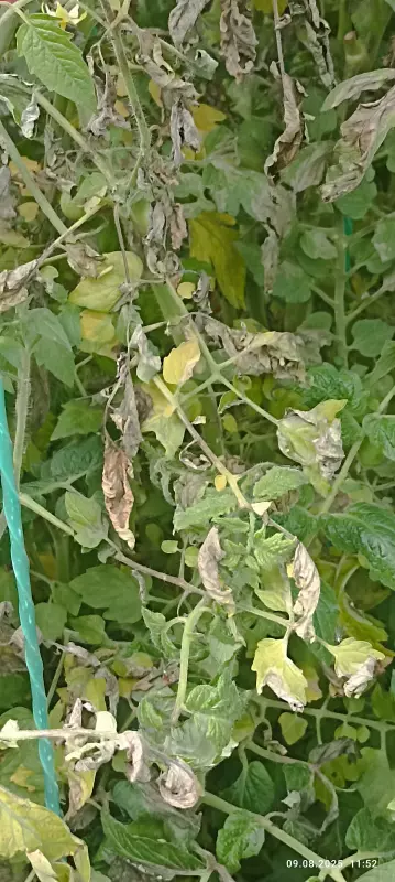 Загородная жизнь - обустройство на земле во всем разнообразии