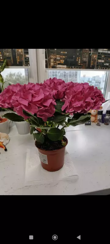 Загородная жизнь - обустройство на земле во всем разнообразии