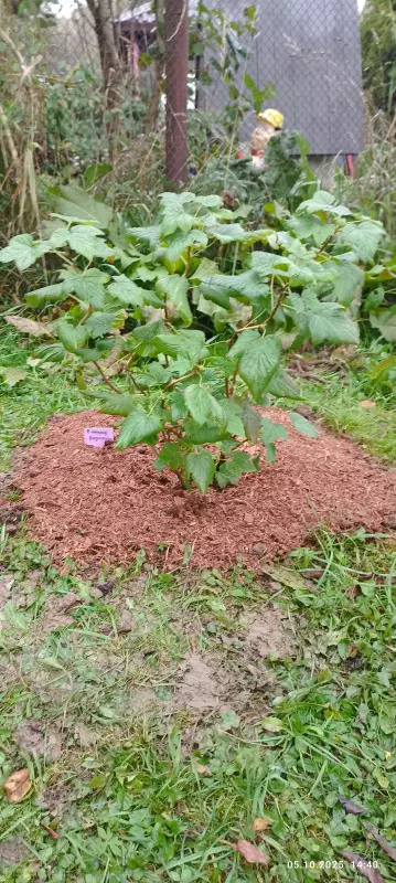 Загородная жизнь - обустройство на земле во всем разнообразии
