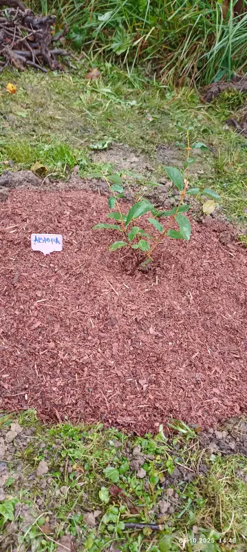 Загородная жизнь - обустройство на земле во всем разнообразии