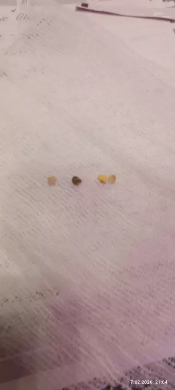 Загородная жизнь - обустройство на земле во всем разнообразии