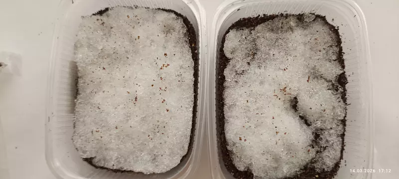 Загородная жизнь - обустройство на земле во всем разнообразии