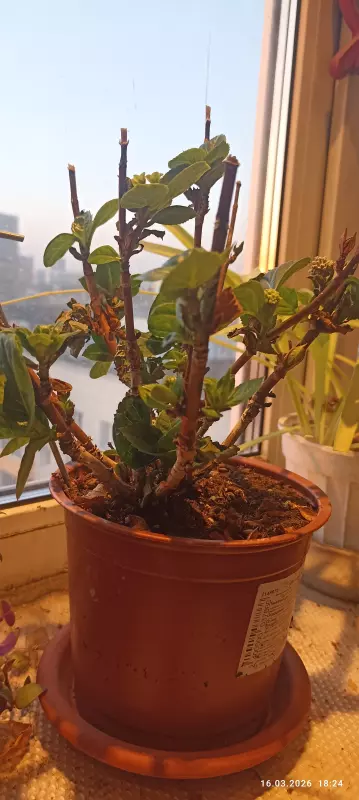 Загородная жизнь - обустройство на земле во всем разнообразии