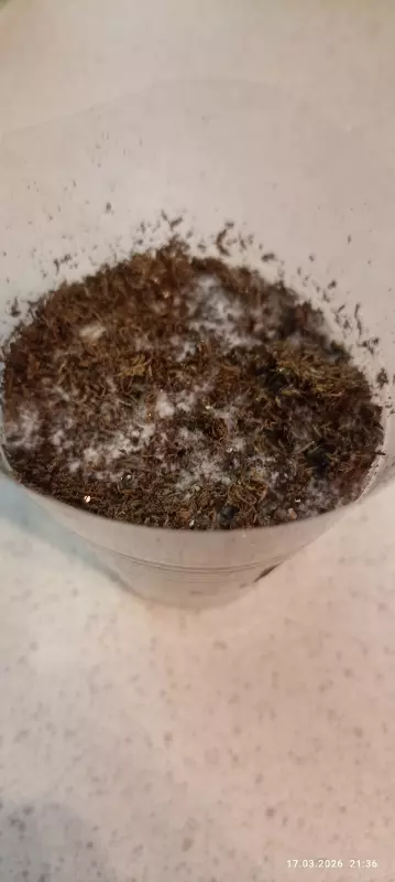 Загородная жизнь - обустройство на земле во всем разнообразии