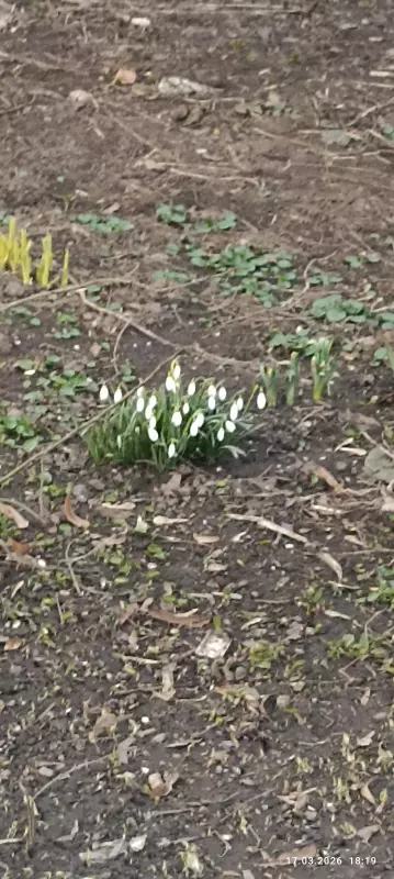 Загородная жизнь - обустройство на земле во всем разнообразии