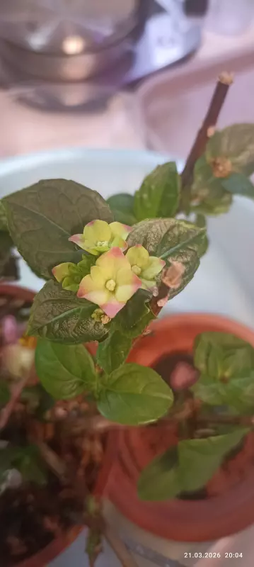 Загородная жизнь - обустройство на земле во всем разнообразии