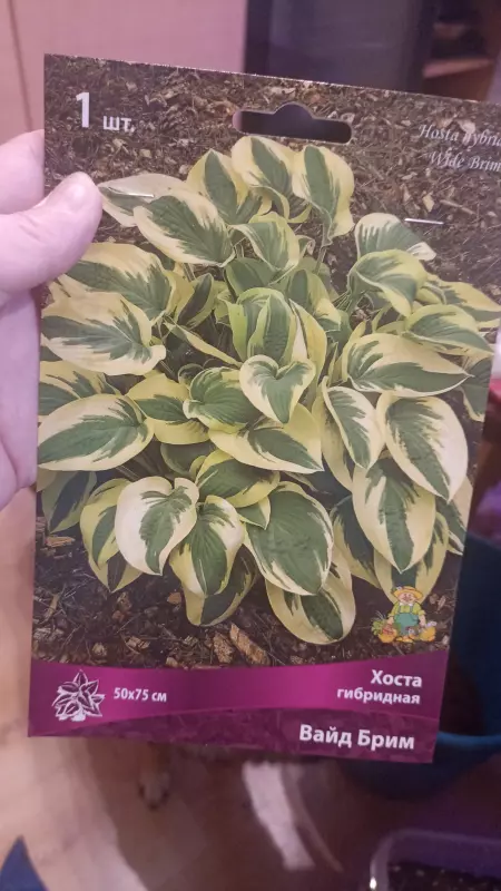 Загородная жизнь - обустройство на земле во всем разнообразии