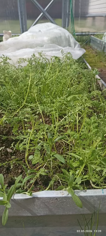 Загородная жизнь - обустройство на земле во всем разнообразии