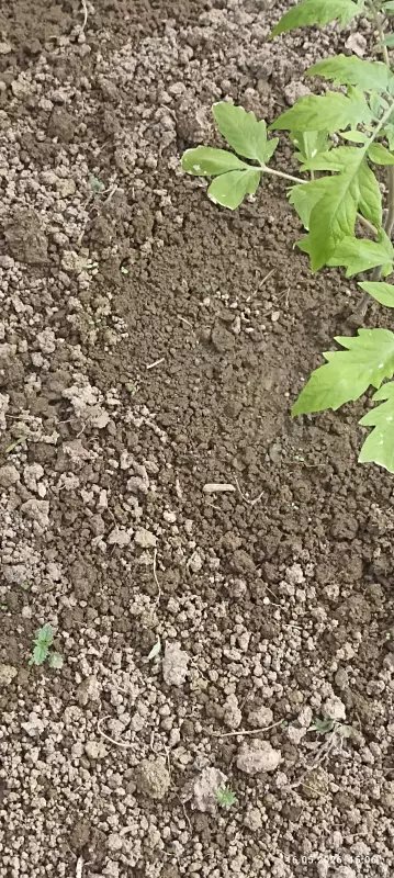 Загородная жизнь - обустройство на земле во всем разнообразии