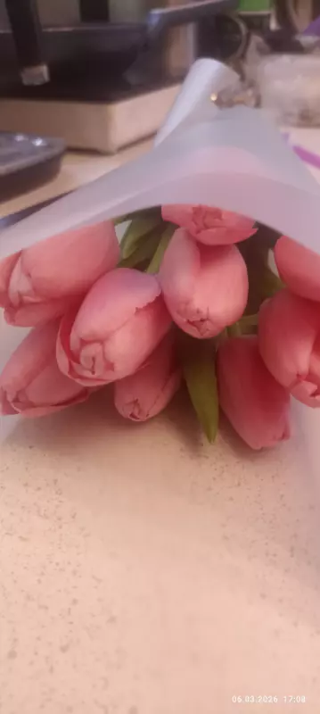 Tapтaлeтки & Ко