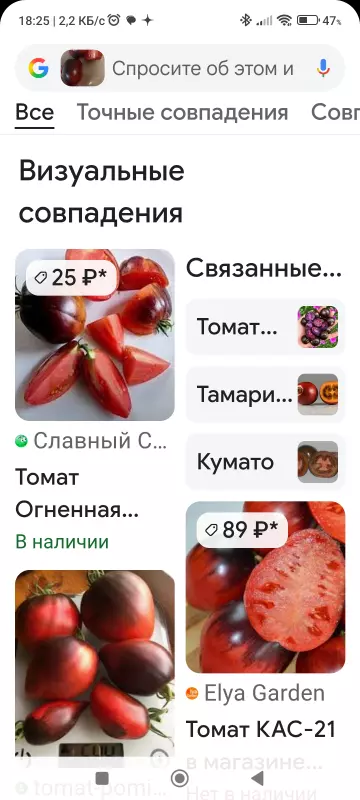 Tapтaлeтки & Ко