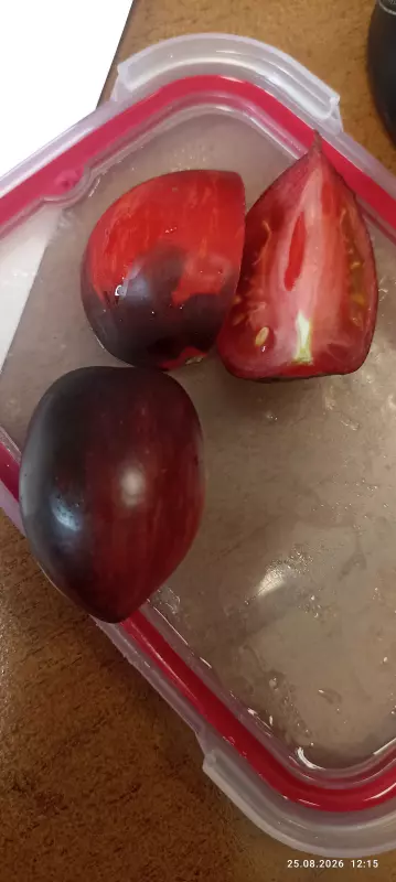 Tapтaлeтки & Ко