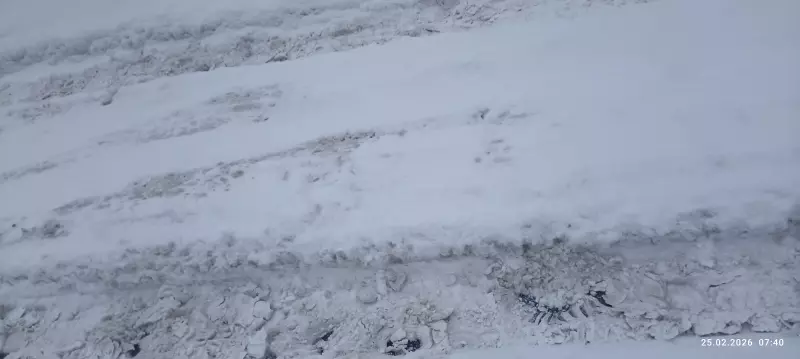 Чайная беседка