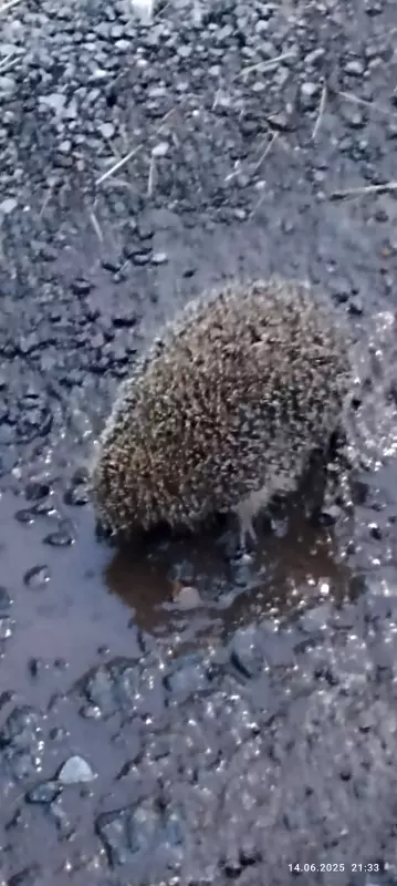 Коломенское