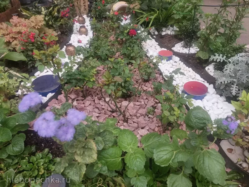 Дизайн участка