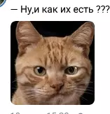 Позитивчик (фото, видео, рассказы для хорошего настроения)