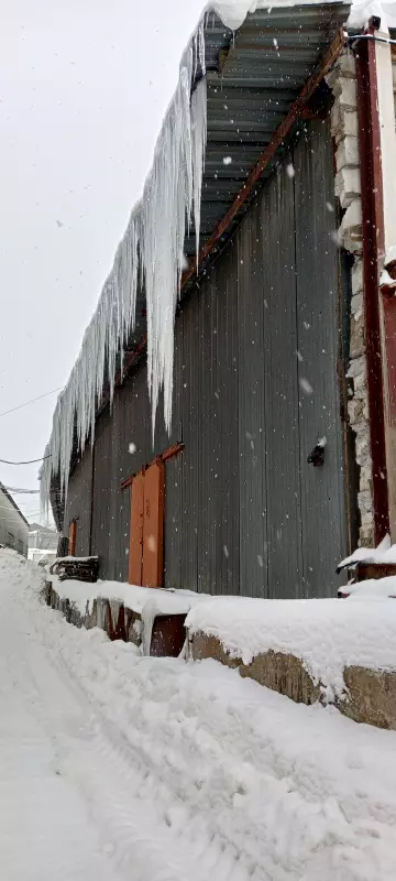 Чайная беседка