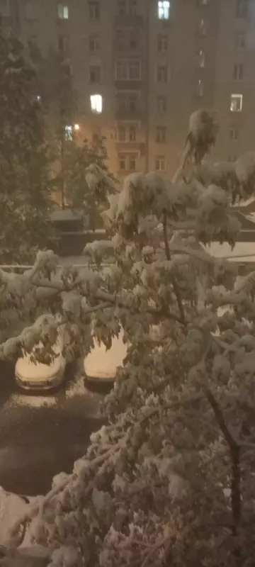 Чайная беседка