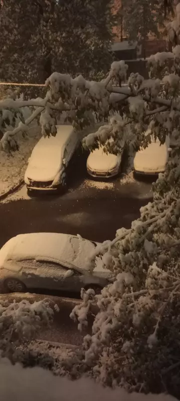 Чайная беседка