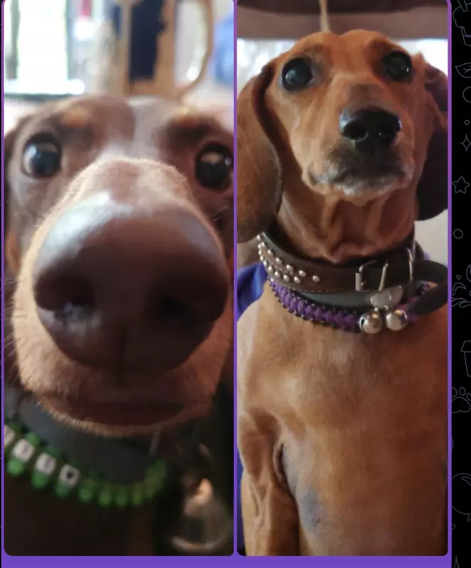 Живой Журнал Жульена