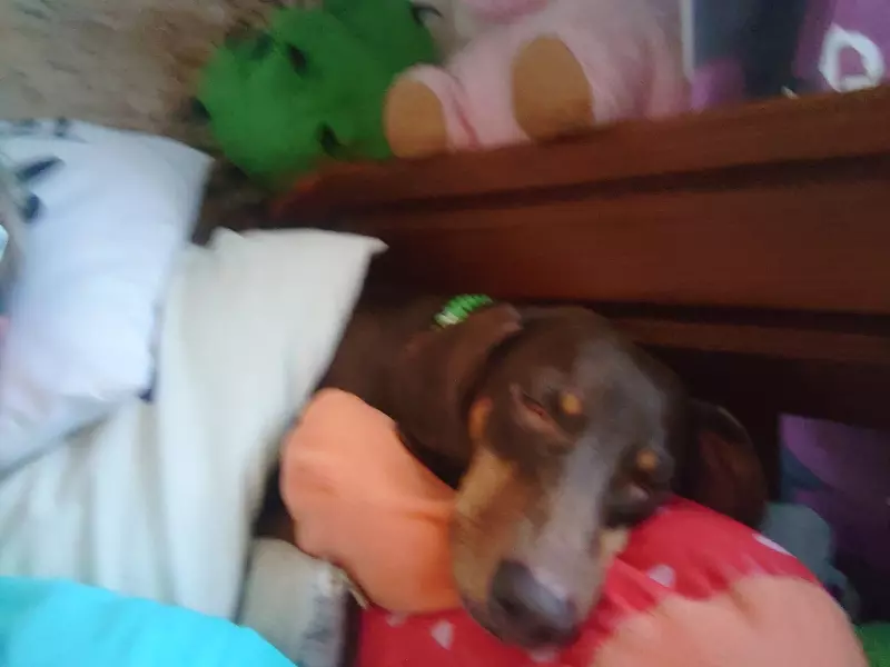 Живой Журнал Жульена