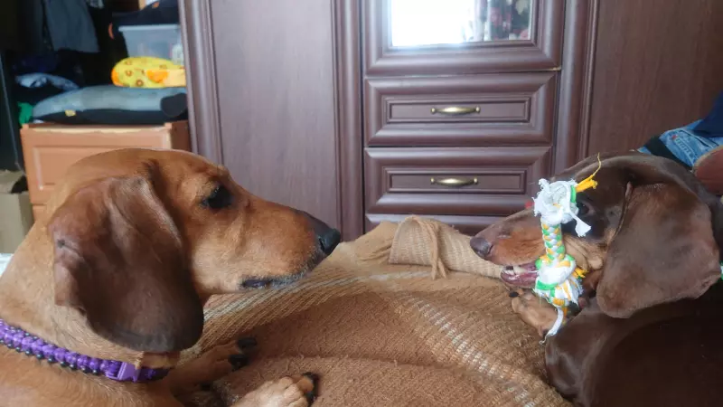 Живой Журнал Жульена