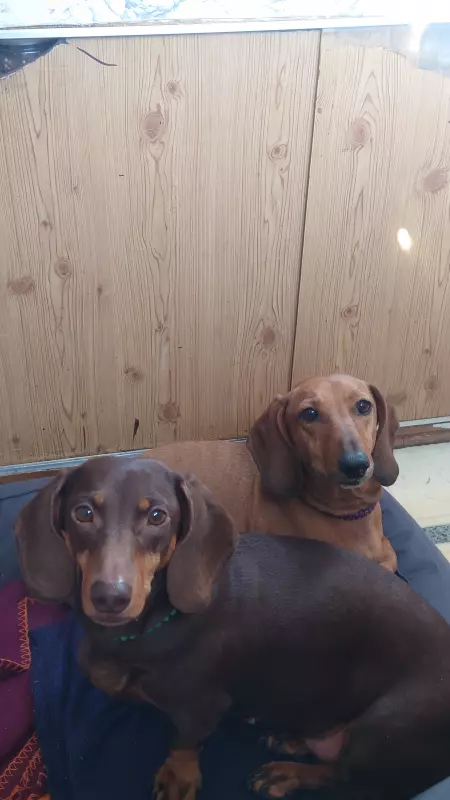 Живой Журнал Жульена