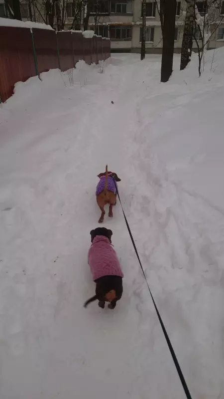 Живой Журнал Жульена