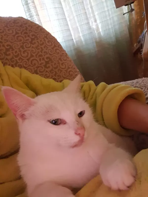 Вышивка крестиком