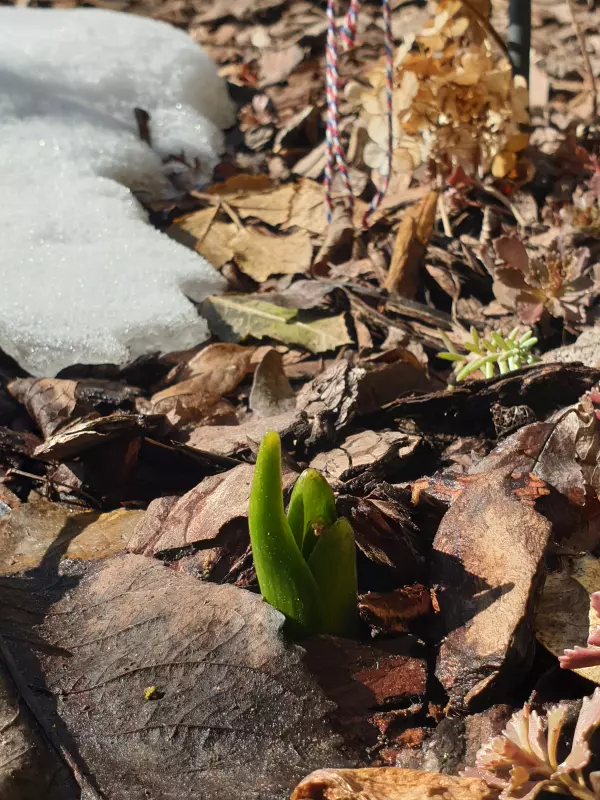 Вышивка крестиком