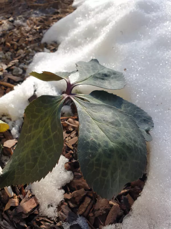 Вышивка крестиком