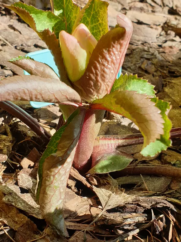 Вышивка крестиком