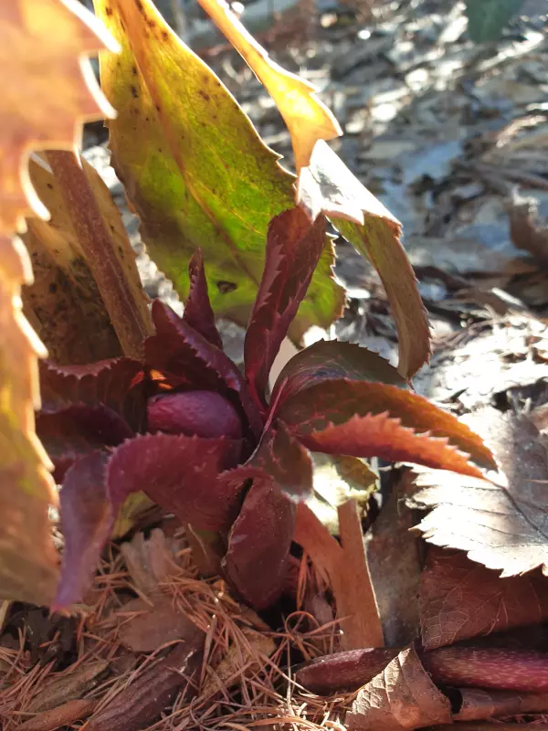 Вышивка крестиком