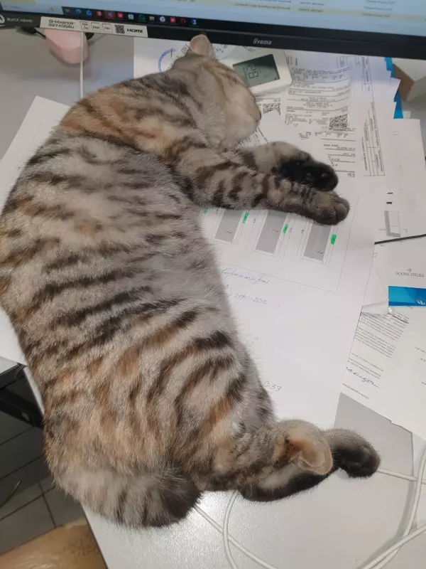 Вышивка крестиком