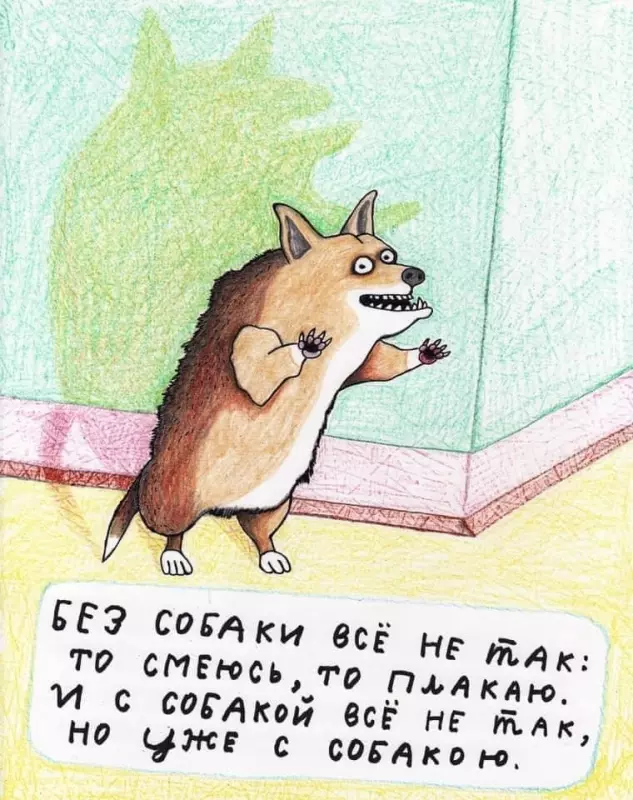 Человек собаке друг!!!
