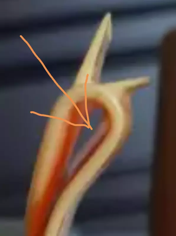 Клуб любителей пипелацев и гравицапов "Абашди покупать!"