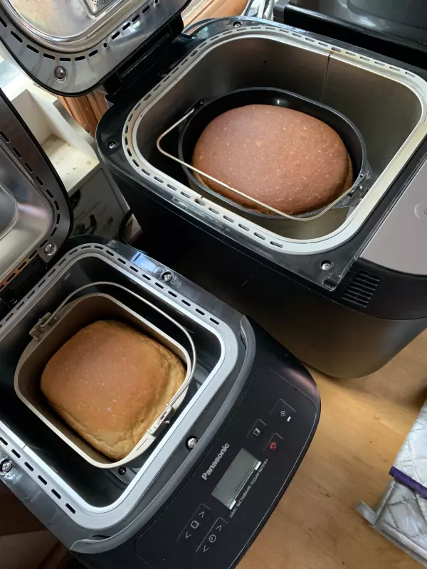 Мини-хлебопечка Panasonic SD PN100