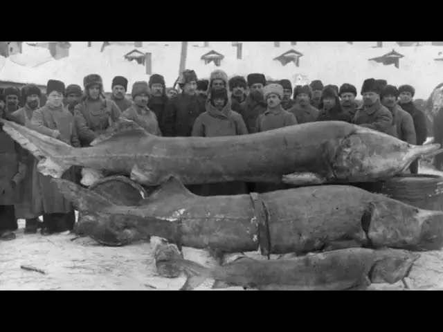 Винтажное увлечение Екатерины2