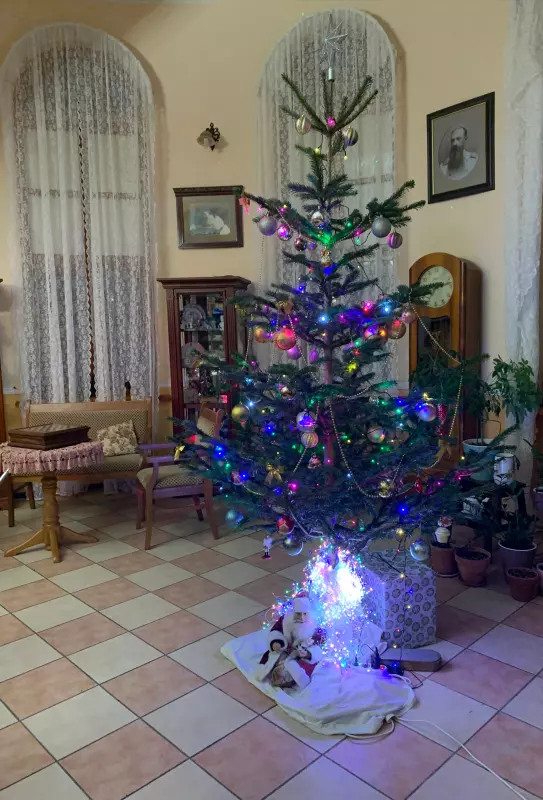 Похвастаемся елками!